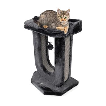 Eine graue Katze, die auf einem plüschigen Katzenbaum mit geschwungenem Design liegt, mit einem Kratzbaum und einem baumelnden Spielzeug.