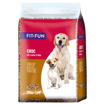 Fit fun croc on sale