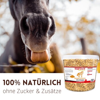 Supravit WiesenGlück Logo mit Silhouette eines galoppierenden Pferdes und Text „Pferdefutter & Pflegeprodukte“ auf weißem Hintergrund.