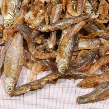 Getrocknete Fischsnacks, die zusammen gestapelt sind und verschiedene Größen und Formen zeigen, mit sichtbaren Augen und Flossen, ideal für Haustierleckereien.
