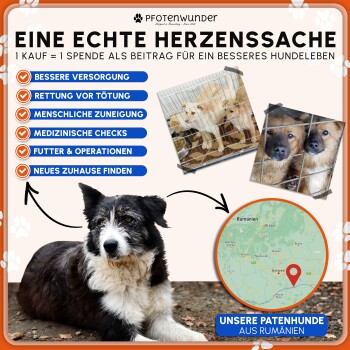 Bild zur Förderung der Haustieradoption mit einem schwarz-weißen Hund, der Vorteile wie Rettung, Pflege und eine Karte von Rumänien für den Standort auflistet.