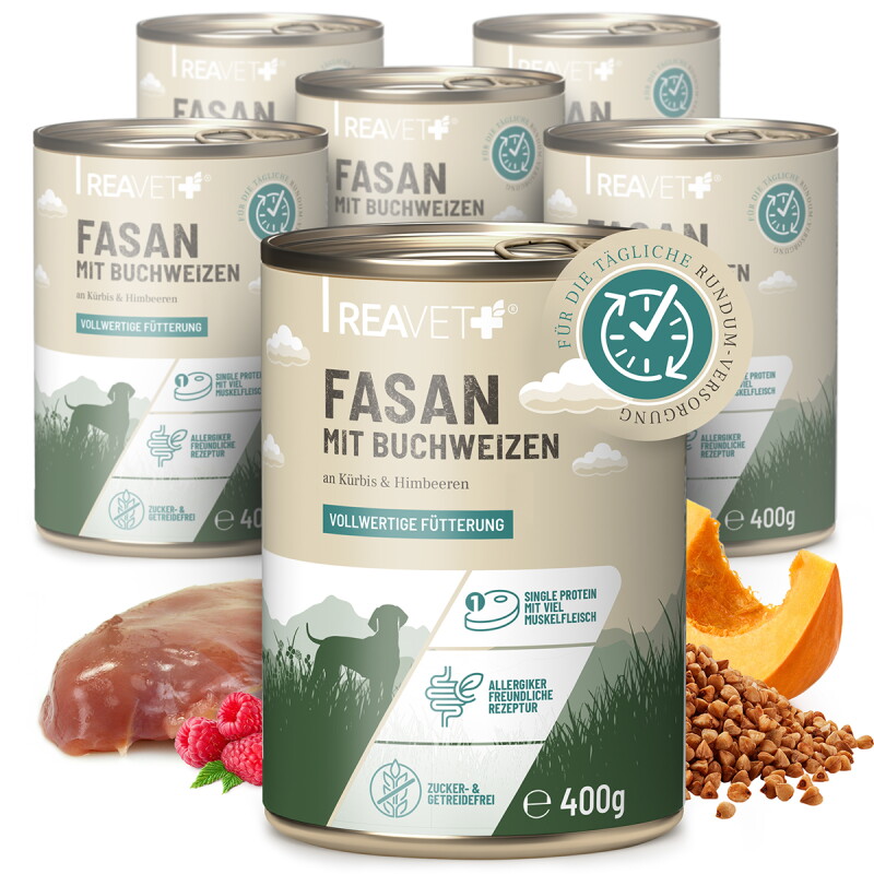 REAVET Hundenassfutter - Fasan mit Buchweizen an Kürbis & Himbeeren 6x400 g
