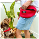 Eine Person in einem weißen Hemd und Denim-Shorts hält einen roten DOOG-Beutel neben einer grünen Pflanze, während ein brauner Hund mit rotem Halsband auf seinen Hinterbeinen steht.