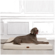 Ein grauer Hund liegt bequem auf einem cremefarbenen Haustierbett mit einem braunen Etikett, vor einer hellen, vertäfelten Wand.