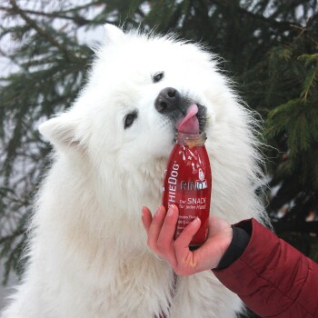 Ein glücklicher Hund leckt eine Flasche "Smoothie Dog" Hühnergeschmack Snack, gehalten von einer Person, mit grünem Gras im Hintergrund.