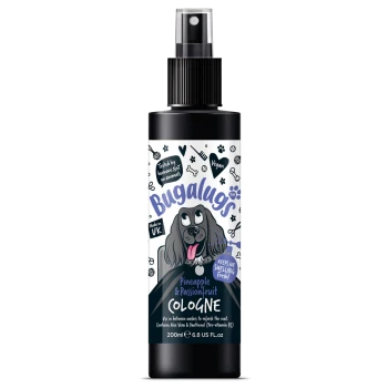 Schwarze Sprühflasche mit der Aufschrift "Bugalugs Ananas & Passionsfrucht Köln" mit einem Cartoon-Hund und "Vegan", "Hergestellt im Vereinigten Königreich" und "Hält mich frisch!"