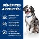 Un chien heureux assis à côté d'un fond bleu avec un texte énumérant les avantages : réduit les intolérances alimentaires, améliore la digestion et fournit de l'énergie.