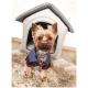 Ein stilvoller Hund, der ein blau-rotes kariertes Outfit trägt, sitzt auf einem flauschigen Teppich vor einem grauen Haustierhaus.