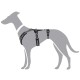 Illustration eines grauen Hundes, der ein schwarzes Geschirr trägt, das verstellbare Riemen und Clips für einen sicheren Sitz zeigt.
