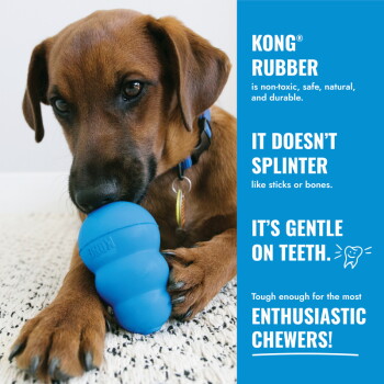 Brown dog chewing blue KONG toy; blue panel reads "KONG RUBBER", "IT DOESN'T SPLINTER", "IT'S GENTLE ON TEETH", "ENTHUSIASTIC CHEWERS!"
