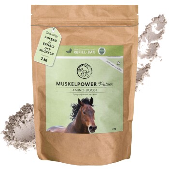 Muskelpower Pulver - Nachfüllpackung