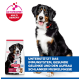 Berner Sennenhund neben Hill's Science Plan Beutel mit ACTIVBIOME+-Logo; Text: unterstützt Immunsystem, Gelenke, schlanke Muskelmasse.