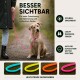 Golden Retriever sitzt an einem sandigen Strand und hält eine rosa Leine im Maul, mit dem Ozean im Hintergrund.