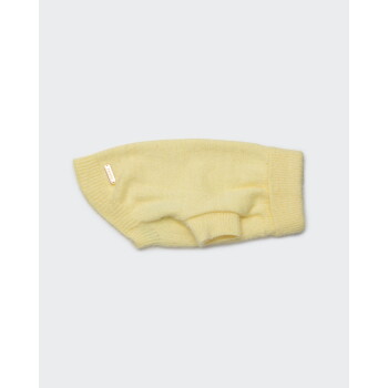 Gelber gestrickter Hundepullover flach auf hellem grauen Hintergrund ausgebreitet, mit gerippten Bündchen und kleiner goldener Metallplakette nahe dem Halsausschnitt.