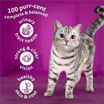 A gray tabby cat on a purple background, featuring text about "100% complete & balanced" and benefits for health and vision.