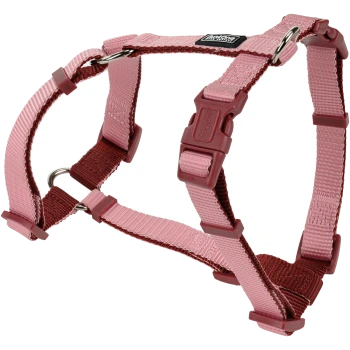 Harnais pour chien en nylon réglable rose et marron avec boucle en plastique et anneaux en D métalliques, étiqueté « Ruffwear ».