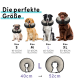 Bild von vier Hunden, die aufblasbare Kragen tragen, beschriftet mit den Größen S, M, L und XL, mit entsprechenden Halsmessungen in Zentimetern.