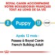 Image promouvant la nourriture pour chiens Royal Canin pour Bouledogues Français, indiquant les étapes d'alimentation : "Chiot" à 2 mois et "Adulte" à 12 mois.