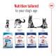 Image of Royal Canin dog food bags for different life stages: Puppy, Adult, Adult 5+, and Aging 8+.
