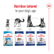 Image of Royal Canin dog food bags for different life stages: Puppy, Adult, Adult 5+, and Aging 8+.