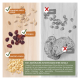 Bild von Vogelfutter-Zutaten: Sonnenblumenkerne, Rosinen, Hafer (Häkchen) vs. Mais, Brot (rote Kreuze). Text: "100% natürliche Zutaten."