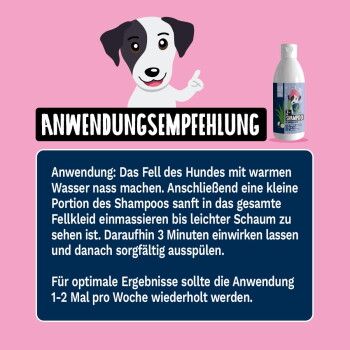 Shampoo-Flasche mit der Aufschrift "Z-SHAMPOO" in blauem und pinkem Design, mit Text über wertvolle Öle, Kokosnussduft und sanfte natürliche Inhaltsstoffe.