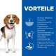 Beagle vor einem blauen Hintergrund, der die Vorteile eines Gewichtsmanagementprodukts zeigt: effektive Gewichtsreduktion und Verdauungsunterstützung.