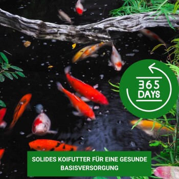 Bunte Koi-Fische schwimmen in einem dunklen Teich, mit einem grünen Kreis, der '365 TAGE' anzeigt, und einem Text darunter auf Deutsch, der hochwertiges Koi-Futter für die Grundversorgung bewirbt.