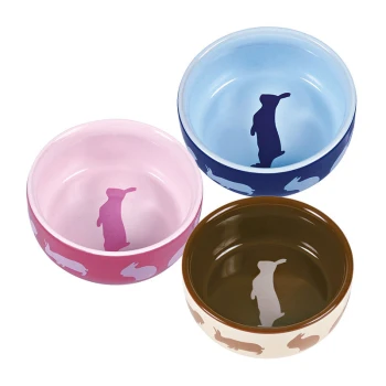 Trois bols pour animaux de compagnie colorés en rose, bleu et marron, chacun présentant une silhouette de lapin à l'intérieur.