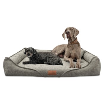 Zwei Hunde, ein kleiner schwarzer lockiger Hund und ein großer grauer Weimaraner, ruhen zusammen auf einem plüschigen grauen Hundebett.