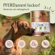 Ein Hund leckt sich die Lippen neben einer Dose FALVY Tiernahrung, gekennzeichnet mit "Pferd" und Zutaten: Zucchini, Süßkartoffel und Birne.