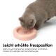 Eine hellgraue Katze, die aus einer rosa erhöhten Katzenschüssel mit dem Text "Leicht erhöhte Fressposition" und einem Cartoon-Gesicht-Logo frisst.
