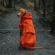Ein Hund, der einen leuchtend orangefarbenen Regenmantel trägt, sitzt auf einem Kiesweg, umgeben von Bäumen, und zeigt sein stilvolles und funktionales Design.