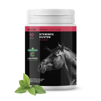 Behälter von Petcare Pethorse Atemweg Husten Pulver für Pferde, mit einer Grafik eines Pferdekopfes, grünen Blättern und Text in Deutsch.