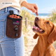 Person mit braunem 'tierlando'-Leckerlibeutel an der Jeans füttert am Strand einen glücklichen braunen Hund mit einem Leckerli; 'AI GENERATED' sichtbar.