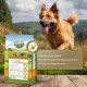 Eine Tüte Bellfor-Hundefutter mit der Aufschrift 'Wiesen-Schmaus' in einer natürlichen Umgebung, mit Text, der besagt, dass es ideal für große Hunde ist und Blähungen verhindert.