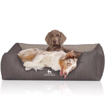 Ein gemütliches Hundebett in Grau mit einem Logo, das "KNUFFELWUFFF" liest, mit einem entspannten Australian Shepherd und einem braunen Hund, der bequem liegt.