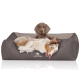 Ein gemütliches Hundebett in Grau mit einem Logo, das "KNUFFELWUFFF" liest, mit einem entspannten Australian Shepherd und einem braunen Hund, der bequem liegt.