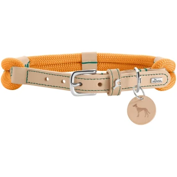 Oranges Hundehalsband mit geflochtenem Seil-Design, Lederband, silberner Schnalle und einem runden Anhänger mit einem Hundesilhouette.