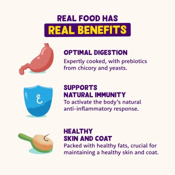 Infographic: REAL FOOD HAS REAL BENEFITS — optimal digestion (prebiotics); natural immunity; healthy skin & coat.