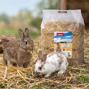 Ein braunes Kaninchen sitzt neben einem Sack PANTO-Stroh, beschriftet "Stroh", mit einem Gewicht von 2 kg, mit Bildern eines Kaninchens und eines Meerschweinchens auf der Vorderseite.
