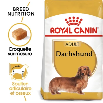 Sac de nourriture pour chiens Royal Canin Adult Dachshund avec une illustration de teckel, avec un texte soulignant la nutrition de la race et le soutien des articulations.