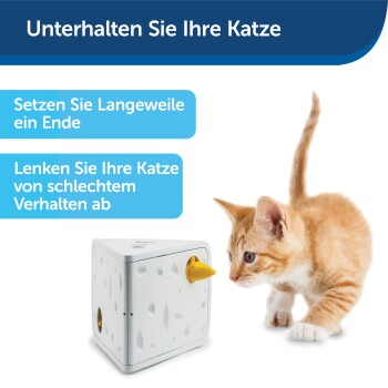 Ein orangefarbener getigerter Kätzchen nähert sich einem weißen, käseförmigen Spielzeug mit einem gelben Merkmal, das die Unterhaltung von Katzen fördert.
