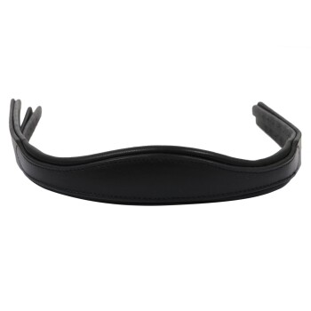 Schwarzes Leder-Haustierhalsband mit einem glatten, gepolsterten Design und verstellbaren Riemen.