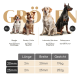 Vier Hunderassen (Beagle, Border Collie, Labrador Retriever, Dobermann) mit Größen- und Gewichtsangaben für 20mm und 25mm Halsbänder.