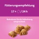 Fütterungsempfehlung: 17 x / 24 h. Bild von tierförmigen Snacks auf rosa Hintergrund mit Hinweis zur Anpassung der Vollnahrung.