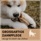 Ein Hund, der ein natürliches Zahnpflegeprodukt kaut, mit dem Text "NATÜRLICHE ZAHNPFLEGE reinigt & stärkt die Zähne" darunter.