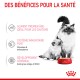 Image d'un chat et d'un chaton à côté d'un bol rouge de nourriture pour chat Royal Canin, avec un texte mettant en avant les bienfaits pour la santé des chatons en français.