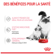 Image d'un chat et d'un chaton à côté d'un bol rouge de nourriture pour chat Royal Canin, avec un texte mettant en avant les bienfaits pour la santé des chatons en français.