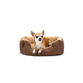 Hundebett mit Wendekissen braun S Ein kleiner braun-weißer Chihuahua sitzt bequem in einem plüschigen, braunen Hundebett mit einem weichen, beigen Innenraum.